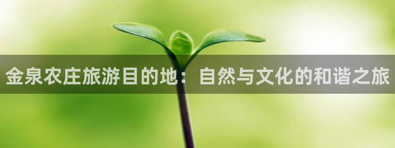 琳琅娱乐代理21192