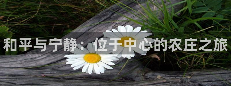 青娱娱乐琳琅导航