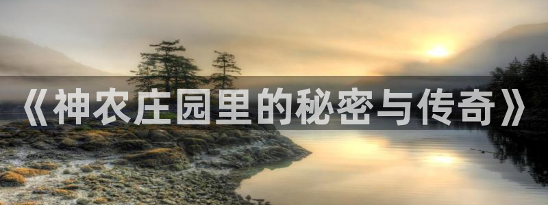 琳琅娱乐平台登陆