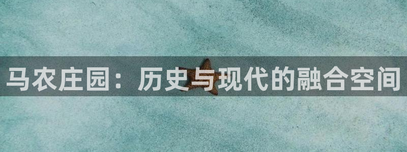 琳琅娱乐组飞车
