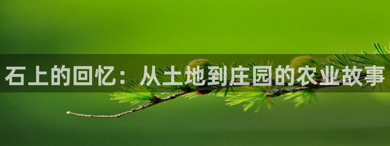 琳琅娱乐社区宅男