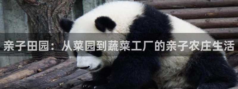 琳琅娱乐APP下载