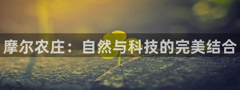 琳琅娱乐免费线上观看