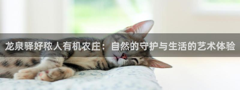 琳琅娱乐社区宅男