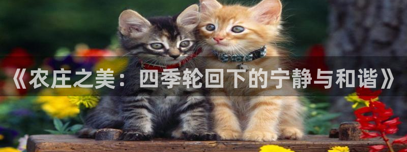 琳琅娱乐注册咋7O777