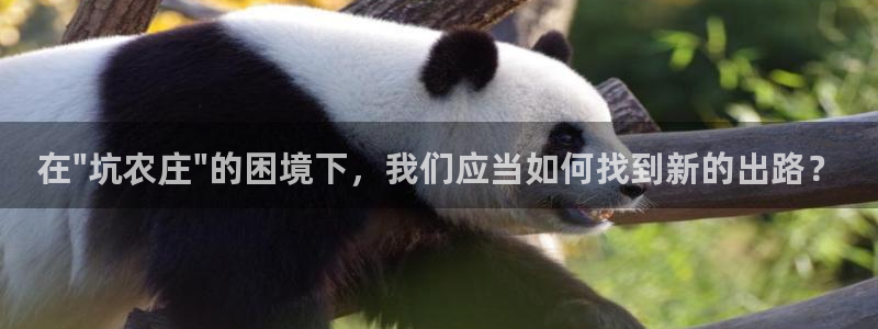 琳琅科技娱乐机器人下载
