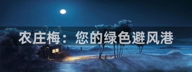 琳琅科技娱乐机器