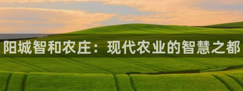 琳琅娱乐代理怎么做