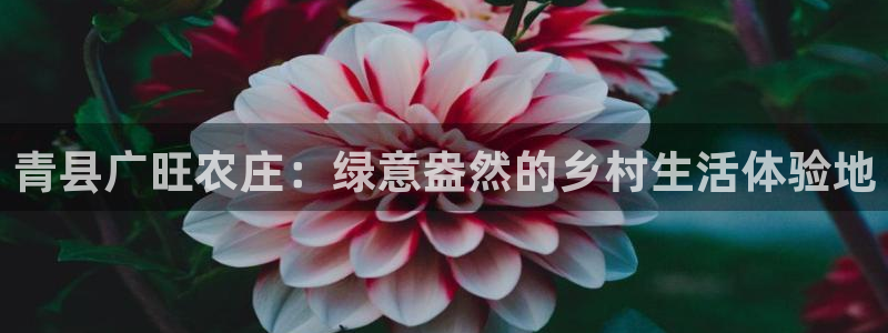 琳琅娱乐挂机