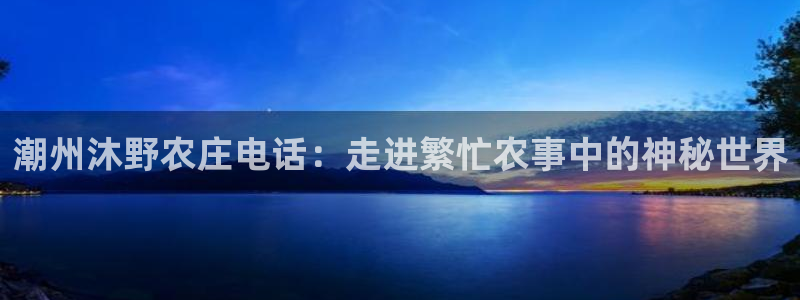 琳琅娱乐工作室地址