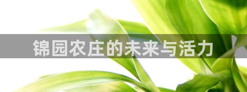 qq飞车琳琅娱乐组