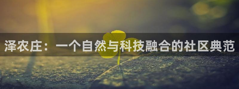 琳琅娱乐园