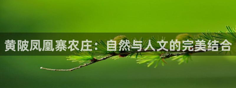 琳琅QQ娱乐机器人