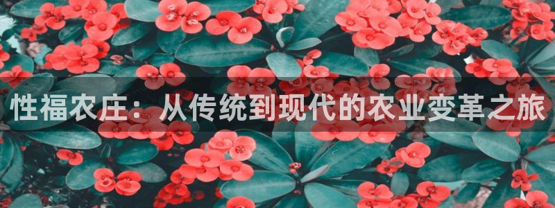 琳琅娱乐社区宅男