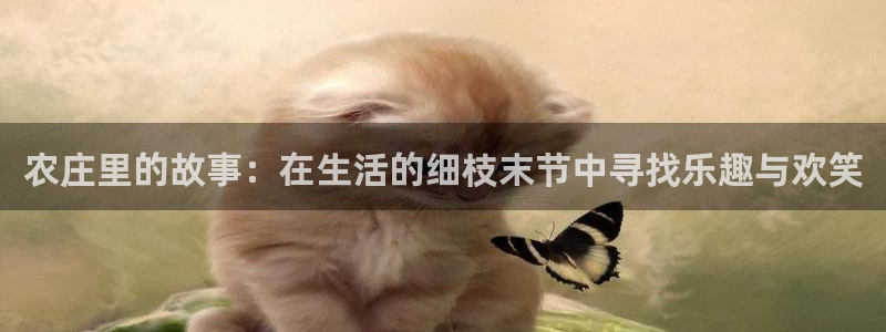 琳琅社区文艺娱乐