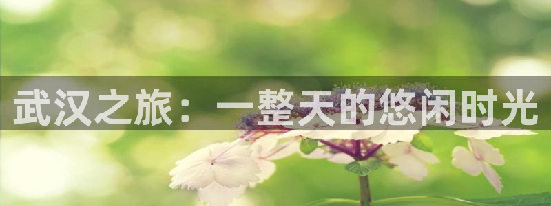 琳琅AV娱乐