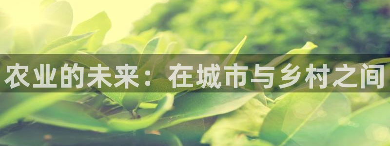 琳琅娱乐组飞车