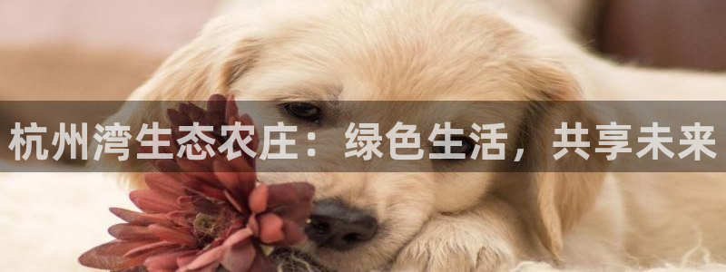 琳琅娱乐怎么样