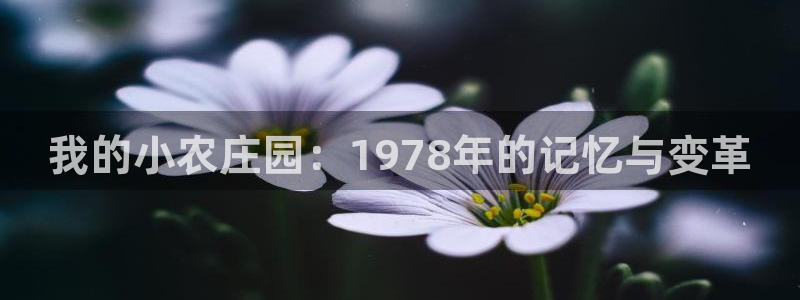 琳琅娱乐场所有哪些