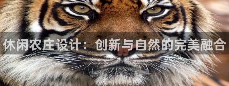 琳琅娱乐社区600