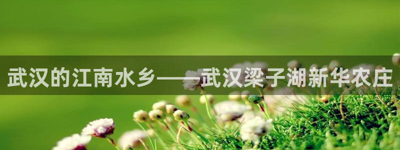 琳琅娱乐组飞车