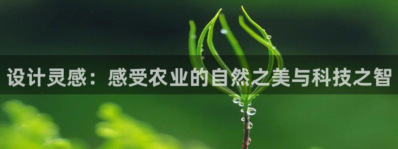 琳琅娱乐前7O777