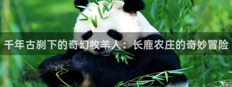 琳琅娱乐平台怎么样可靠吗
