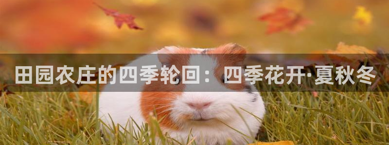 琳琅娱乐园