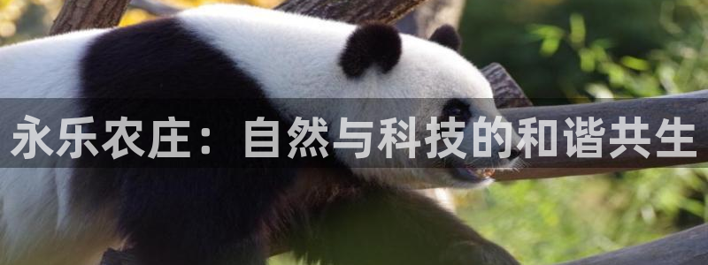 琳琅科技娱乐qq机器人词库