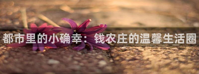 琳琅作者娱乐圈女主