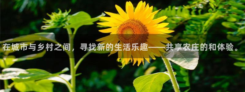 琳琅娱乐怎么样知乎