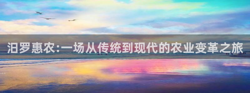 琳琅娱乐导航