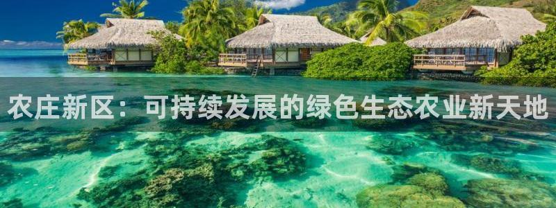 琳琅娱乐社区