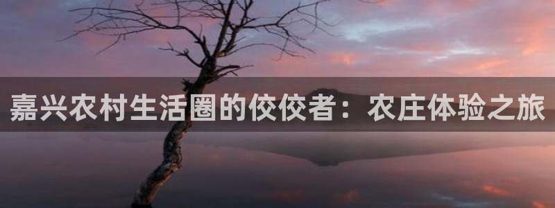 琳琅娱乐直播