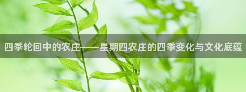 琳琅娱乐场所