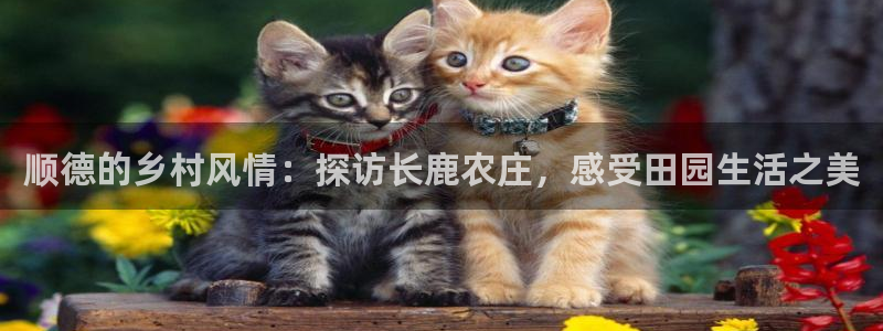 琳琅娱乐代理怎么做的
