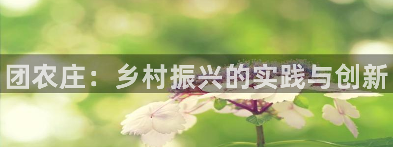 琳琅社区综艺文化娱乐