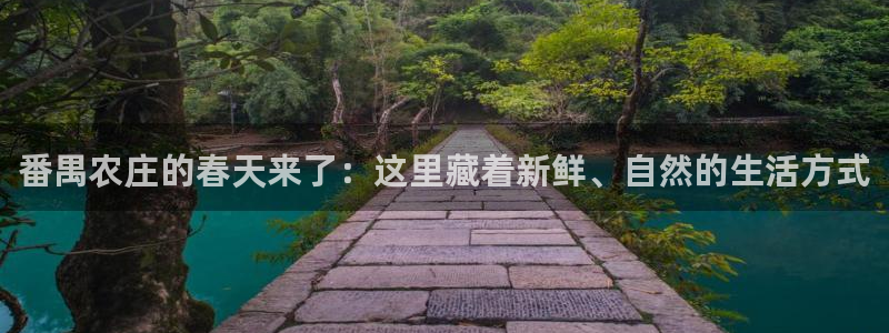 琳琅娱乐代理21192