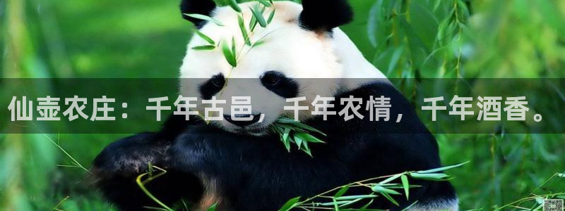 琳琅娱乐八卦