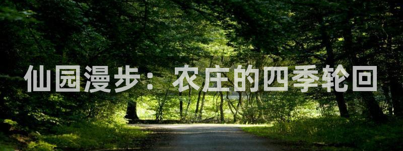 琳琅科技娱乐机器人教程