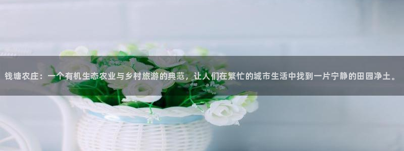 琳琅满目的娱乐设施