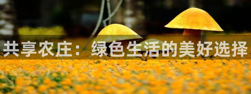 琳琅娱乐网