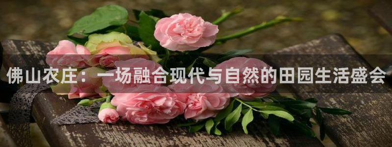 qq飞车琳琅娱乐组