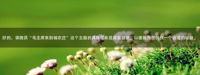 琳琅满目的娱乐设施