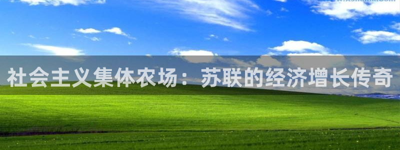 琳琅娱乐工作室