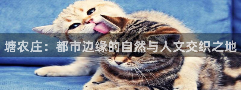琳琅娱乐APP下载