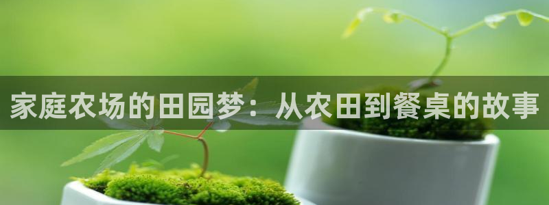 琳琅娱乐工作室怎么样啊