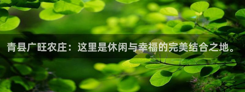 琳琅娱乐是什么