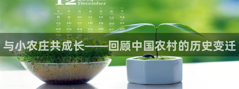 琳琅娱乐代理