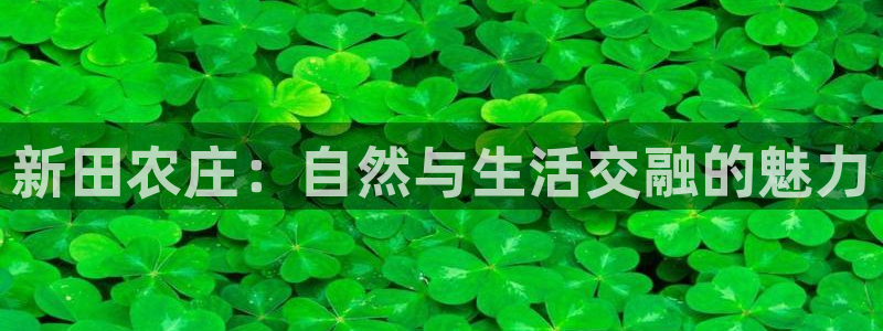 琳琅娱乐注册登录不了